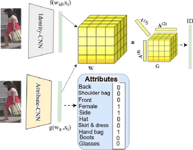 Figure 1 for Attribute Guided Sparse Tensor-Based Model for Person Re-Identification