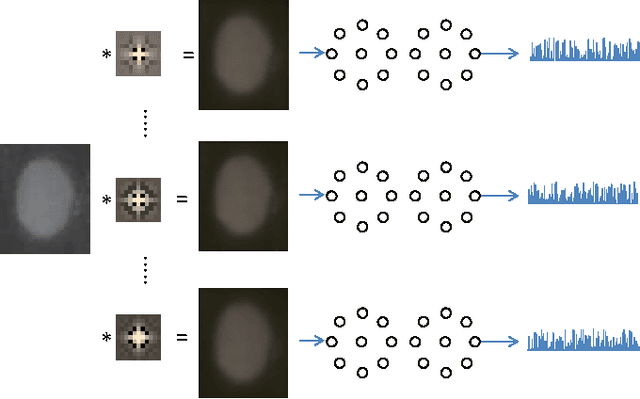 Figure 3 for HEp-2 Cell Classification via Fusing Texture and Shape Information