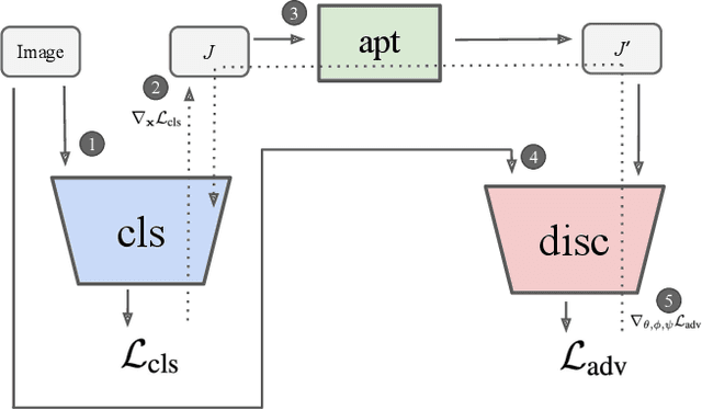 Figure 1 for Jacobian Adversarially Regularized Networks for Robustness