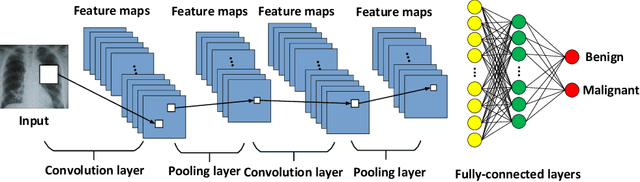 Figure 3 for A Survey on Domain Knowledge Powered Deep Learning for Medical Image Analysis