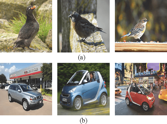 Figure 2 for Self-Taught Cross-Domain Few-Shot Learning with Weakly Supervised Object Localization and Task-Decomposition