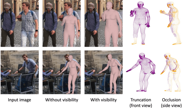 Figure 1 for Learning Visibility for Robust Dense Human Body Estimation