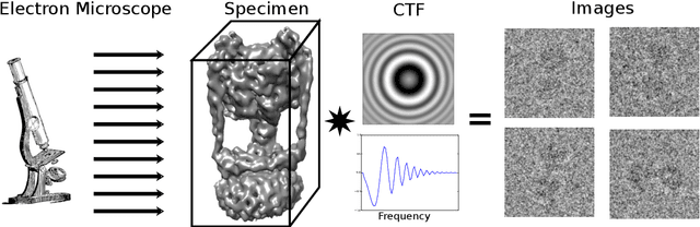 Figure 1 for Microscopic Advances with Large-Scale Learning: Stochastic Optimization for Cryo-EM