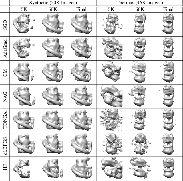 Figure 4 for Microscopic Advances with Large-Scale Learning: Stochastic Optimization for Cryo-EM