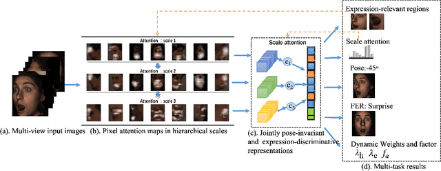 Figure 1 for Pose-adaptive Hierarchical Attention Network for Facial Expression Recognition