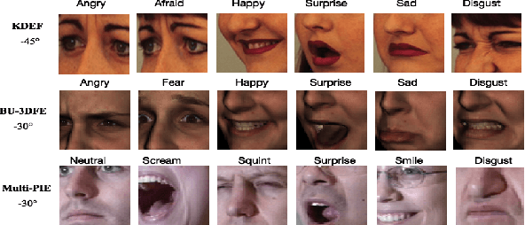 Figure 3 for Pose-adaptive Hierarchical Attention Network for Facial Expression Recognition