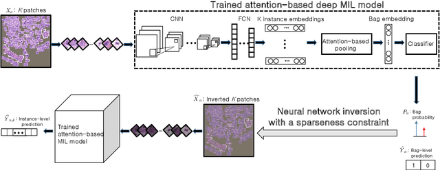 Figure 1 for Sparse Network Inversion for Key Instance Detection in Multiple Instance Learning