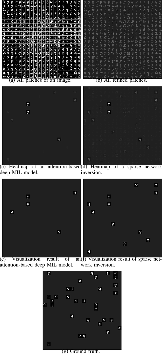 Figure 3 for Sparse Network Inversion for Key Instance Detection in Multiple Instance Learning