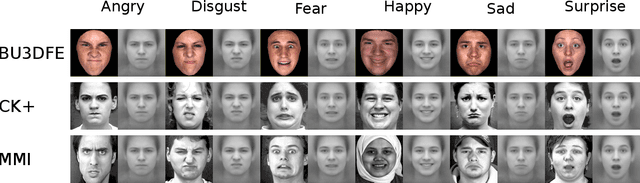 Figure 4 for Identity-Free Facial Expression Recognition using conditional Generative Adversarial Network
