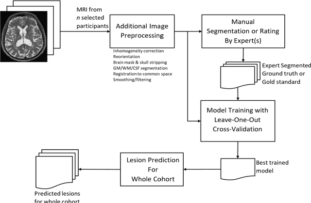 Figure 1 for Deep Learning Based Detection of Enlarged Perivascular Spaces on Brain MRI
