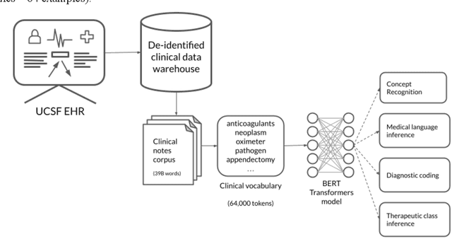 Figure 2 for Developing a general-purpose clinical language inference model from a large corpus of clinical notes