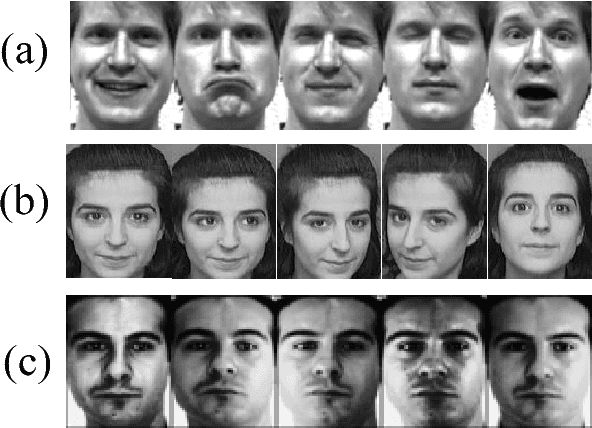 Figure 1 for Robust Face Recognition via Adaptive Sparse Representation