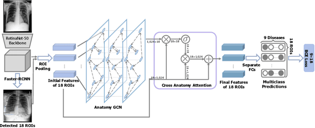 Figure 1 for AnaXNet: Anatomy Aware Multi-label Finding Classification in Chest X-ray