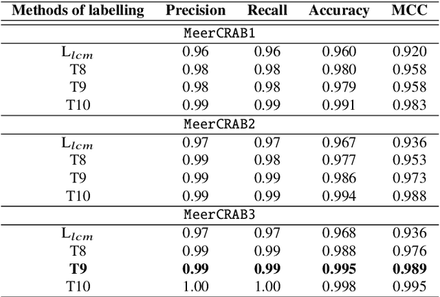 Figure 4 for MeerCRAB: MeerLICHT Classification of Real and Bogus Transients using Deep Learning