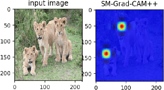 Figure 4 for Smooth Grad-CAM++: An Enhanced Inference Level Visualization Technique for Deep Convolutional Neural Network Models