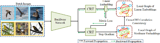 Figure 4 for Coded Residual Transform for Generalizable Deep Metric Learning