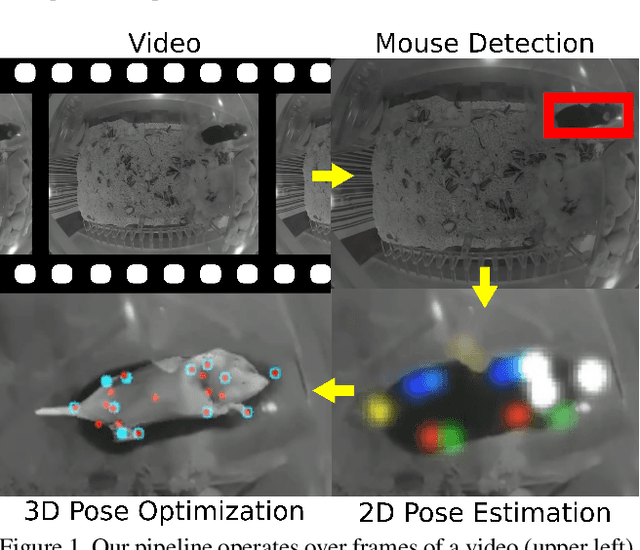 Figure 2 for Optical Mouse: 3D Mouse Pose From Single-View Video