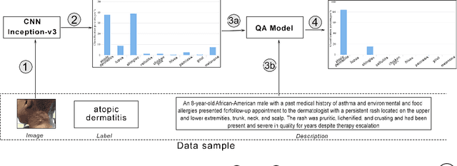Figure 1 for Improving Skin Condition Classification with a Question Answering Model