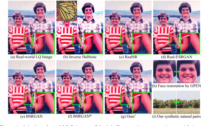 Figure 1 for From Face to Natural Image: Learning Real Degradation for Blind Image Super-Resolution