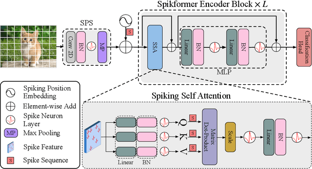 Figure 2 for Spikformer: When Spiking Neural Network Meets Transformer