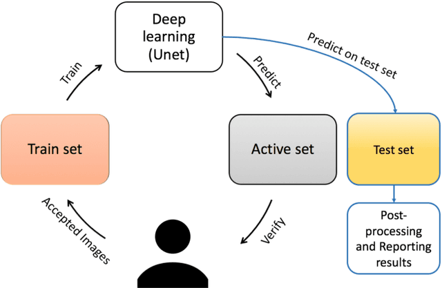 Figure 2 for Iterative Deep Learning Based Unbiased Stereology With Human-in-the-Loop