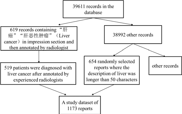 Figure 1 for A Natural Language Processing Pipeline of Chinese Free-text Radiology Reports for Liver Cancer Diagnosis