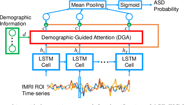 Figure 1 for Demographic-Guided Attention in Recurrent Neural Networks for Modeling Neuropathophysiological Heterogeneity