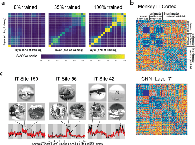 Figure 3 for Analyzing biological and artificial neural networks: challenges with opportunities for synergy?