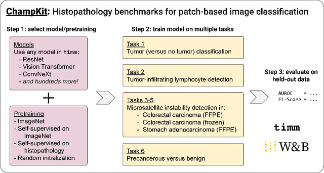 Figure 1 for Evaluating histopathology transfer learning with ChampKit