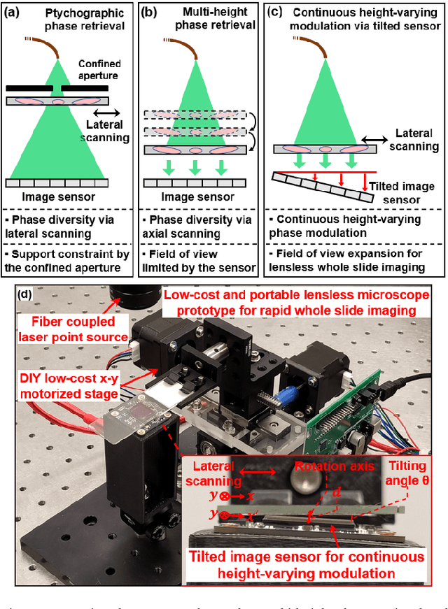 Figure 1 for High-throughput lensless whole slide imaging via continuous height-varying modulation of tilted sensor