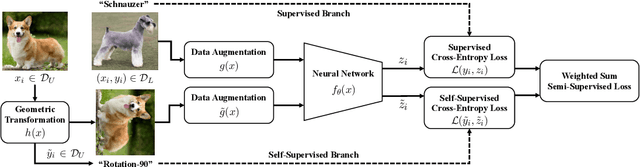 Figure 1 for Semi-Supervised Learning with Self-Supervised Networks