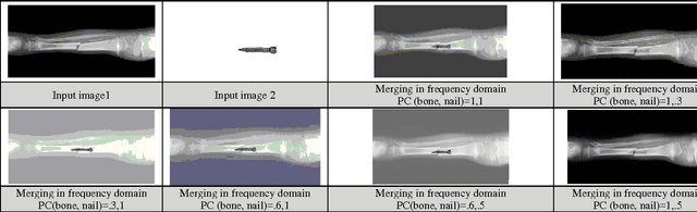 Figure 4 for Merging and Shifting of Images with Prominence Coefficient for Predictive Analysis using Combined Image