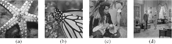 Figure 1 for Mixed-Resolution Image Representation and Compression with Convolutional Neural Networks
