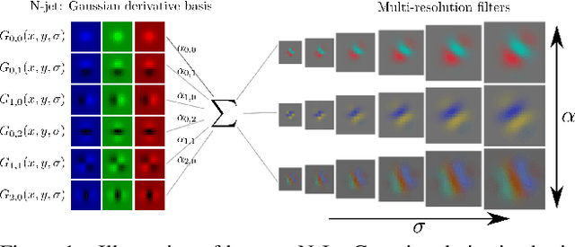 Figure 1 for Resolution learning in deep convolutional networks using scale-space theory