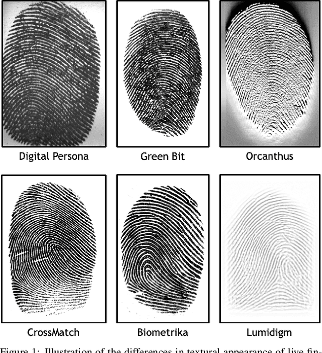 Figure 1 for Fingerprint Presentation Attack Detection: A Sensor and Material Agnostic Approach