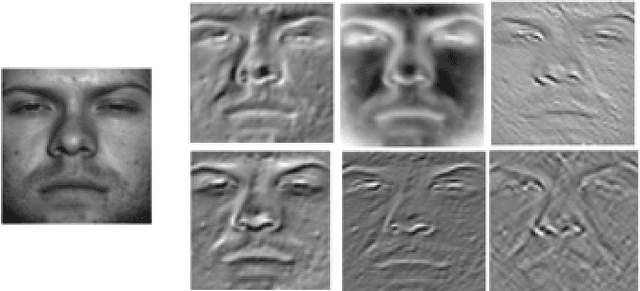 Figure 1 for Deep Face Image Retrieval: a Comparative Study with Dictionary Learning