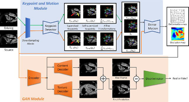 Figure 3 for Weakly-supervised High-fidelity Ultrasound Video Synthesis with Feature Decoupling