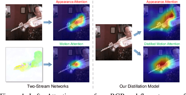 Figure 1 for Paying More Attention to Motion: Attention Distillation for Learning Video Representations