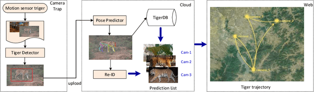 Figure 1 for Amur Tiger Re-identification in the Wild
