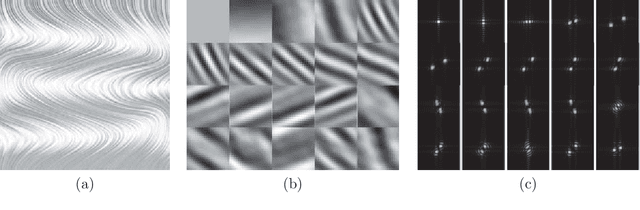 Figure 2 for Multiscale Adaptive Representation of Signals: I. The Basic Framework