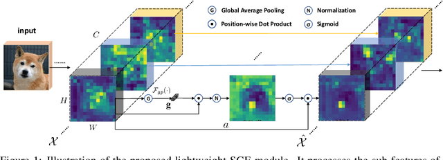 Figure 1 for Spatial Group-wise Enhance: Improving Semantic Feature Learning in Convolutional Networks