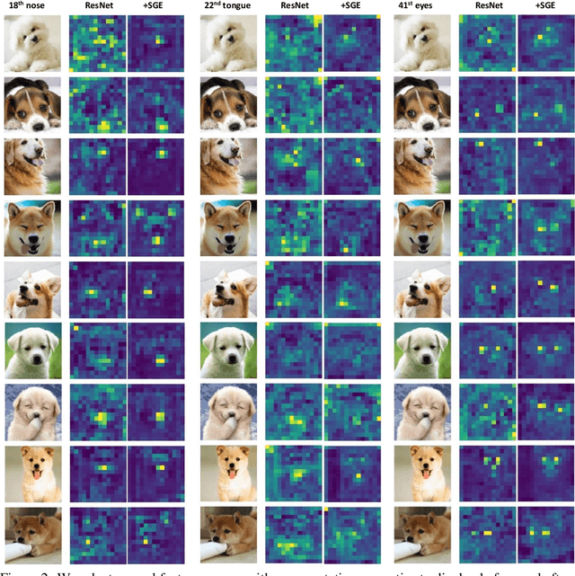 Figure 3 for Spatial Group-wise Enhance: Improving Semantic Feature Learning in Convolutional Networks