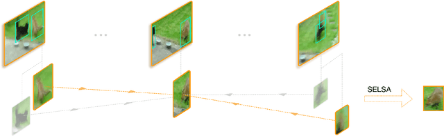 Figure 3 for Sequence Level Semantics Aggregation for Video Object Detection