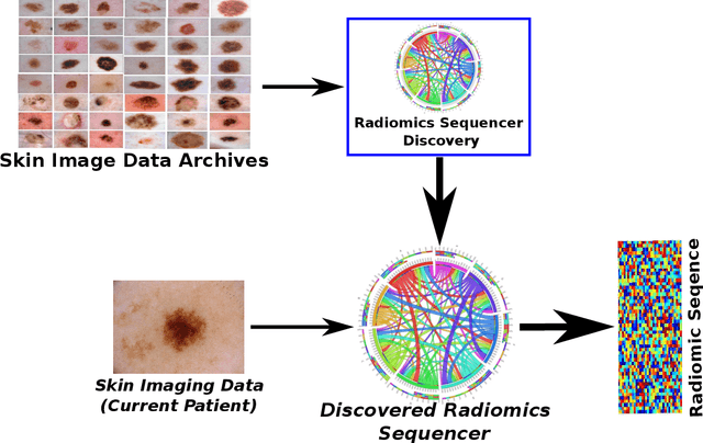 Figure 1 for Discovery Radiomics via Deep Multi-Column Radiomic Sequencers for Skin Cancer Detection