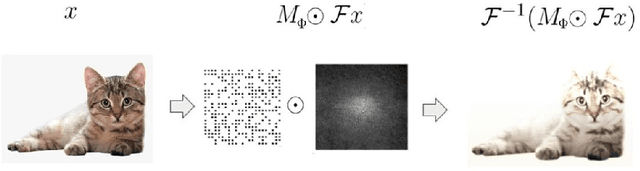 Figure 2 for Understanding robustness and generalization of artificial neural networks through Fourier masks