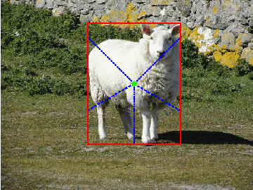 Figure 1 for Polar Transformation Based Multiple Instance Learning Assisting Weakly Supervised Image Segmentation With Loose Bounding Box Annotations