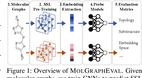 Figure 1 for Evaluating Self-Supervised Learning for Molecular Graph Embeddings