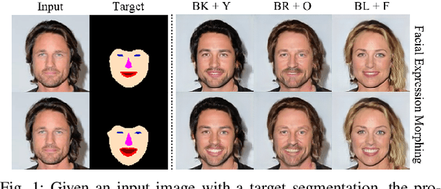 Figure 1 for Segmentation Guided Image-to-Image Translation with Adversarial Networks