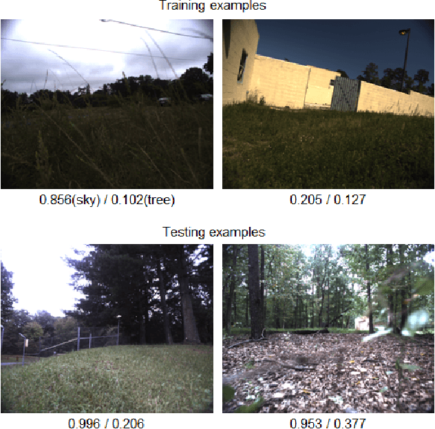 Figure 1 for Memory-based Semantic Segmentation for Off-road Unstructured Natural Environments