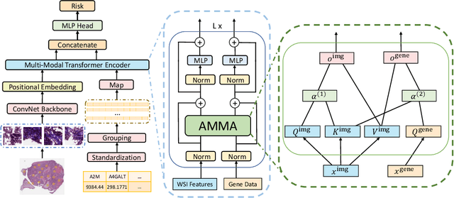 Figure 1 for AMMASurv: Asymmetrical Multi-Modal Attention for Accurate Survival Analysis with Whole Slide Images and Gene Expression Data